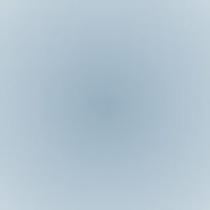 Meet your Posher, Audrey